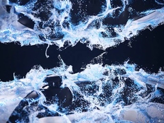 Night Elf Sex In The Barrens   4K ULTRA HD