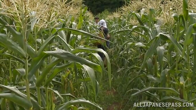Japanese Peasant Couple Fuck In The Field