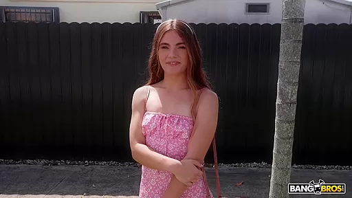 Juniper And Tony Sitting In A Tree   Bang Bus