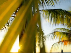 She Pays For Her Vacation With Pure Pleasure – Creampie & Orgasm Compilation