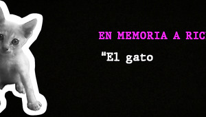 Curvy Bitch Lorena Fucked By Clown After Public Blowjob