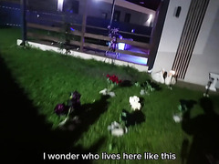 Busty Goth Chick With Huge Tits And Ass Has A Hot Pounding With A Delivery Guy