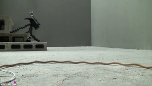 Busty Submissive Babe In Chain Tortured In The Basement