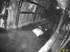 Chinese Girls Unaware Feet Trample