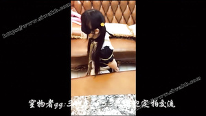 Chinese Breathplay   Asian Bdsm Porn