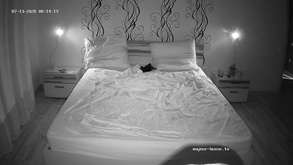 Cam Group Fucking Group Sex