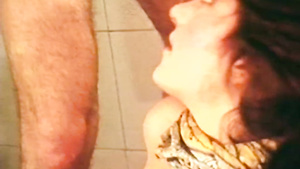 French Kittens (Higher Edit)