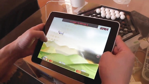 Copulating A French Escort   Amateurs