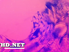 Japanese Slut In Black Stockings Sucks Dick In Threesome, And Eats Cum