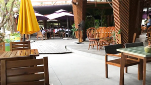 Amateurs Xozilla Porn Movies Russian Love Making Beauty Girl Holiday Meet Part1