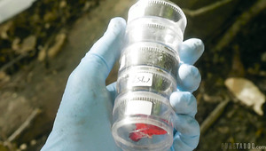 Amazing Bree Daniels Definitely Loves Some Sensual Intercourse Outdoors