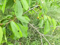 Skinny Anne Eden Goes For Passionate Outdoor Fuck With A Stranger