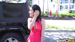 Hump Bus Action   Outdoor