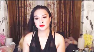 Brunette Webcam Girl Chatting