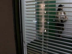 Tattoed Amateur Webcam Girl Hot Dildo Action Masturbation